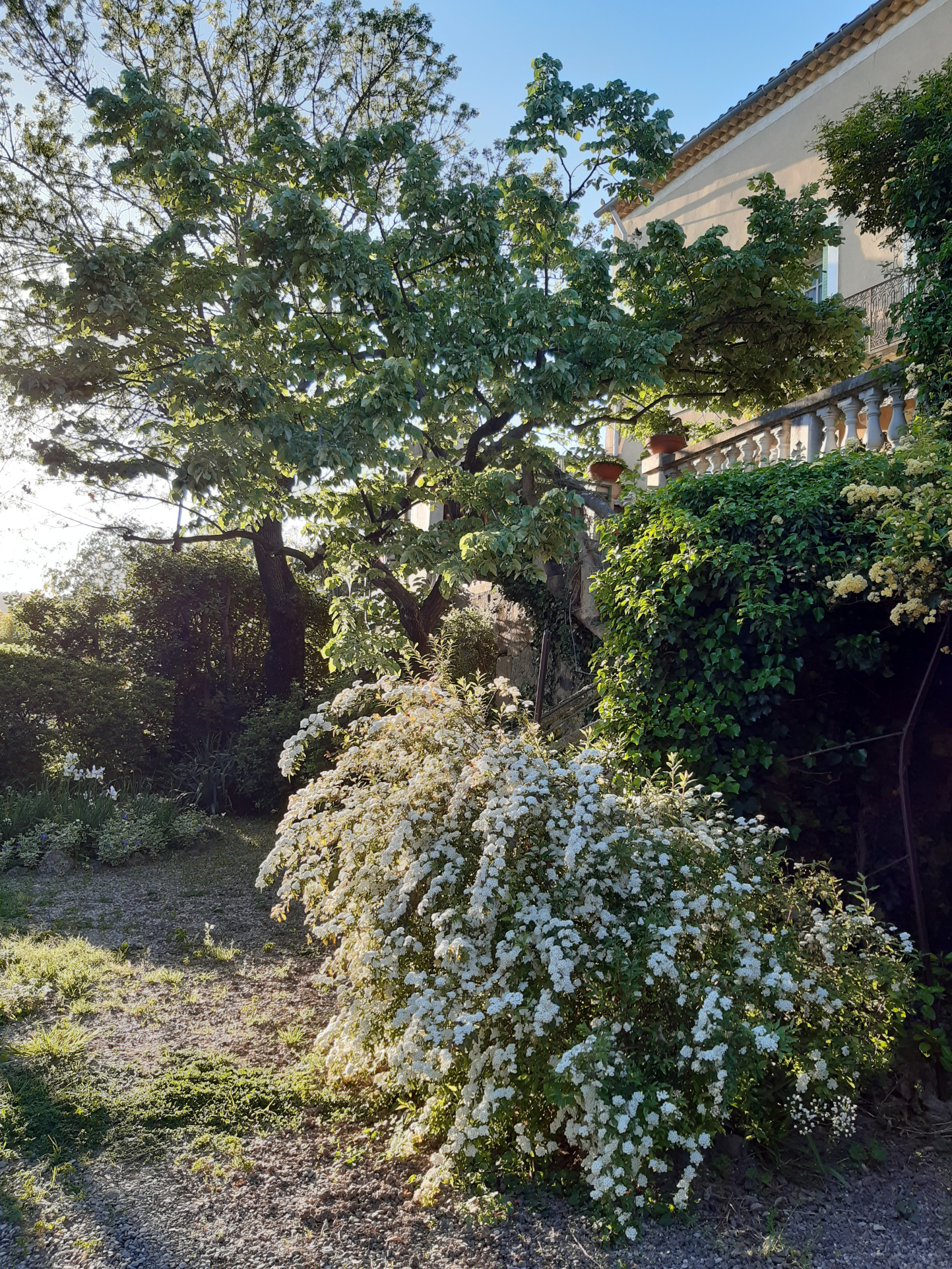 Agence immobilière de William AYPIOSS Yachts Properties