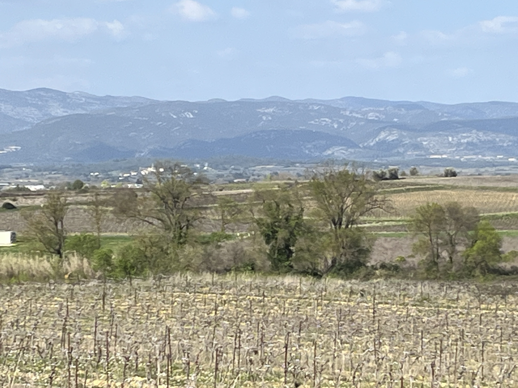 Agence immobilière de William AYPIOSS Yachts Properties