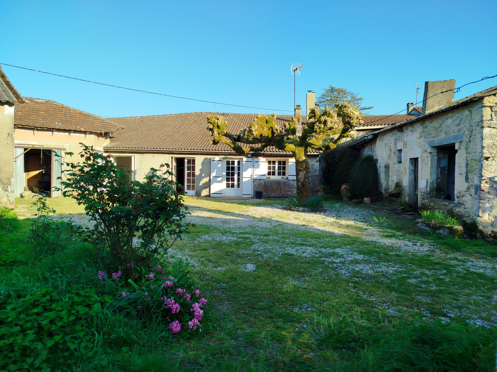 Agence immobilière de William AYPIOSS Yachts Properties